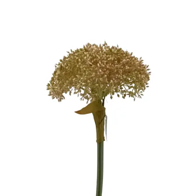 Allium ramo cm.70 rosa chiaro