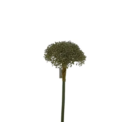 Allium ramo cm.70 blue