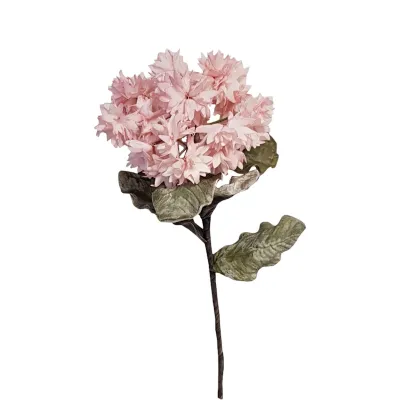 Foam ortensia rosa
