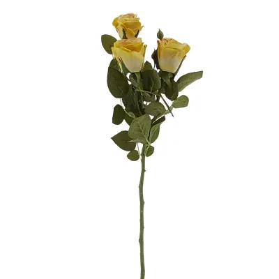 Rosa cabbage cm.66 giallo