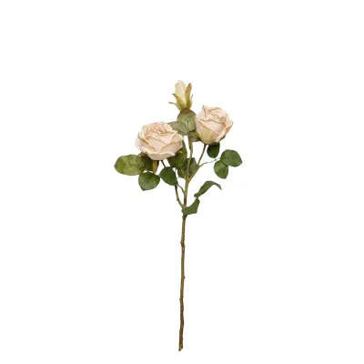 Rosa ramo cm.55 avorio