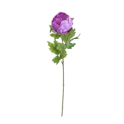 Peonia singola cm.75 lilla