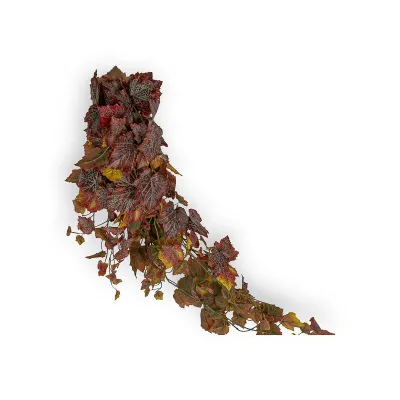 Vite mazzo cm.130 burgundy