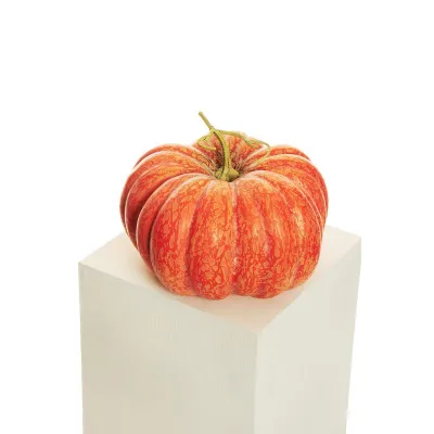 Zucca diam.31 arancio
