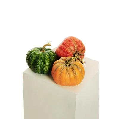 Zucca diam.16 assortita