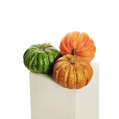Zucca diam.21 assortita