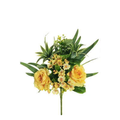 Rosa-eucryphia frontale cm.45 yellow