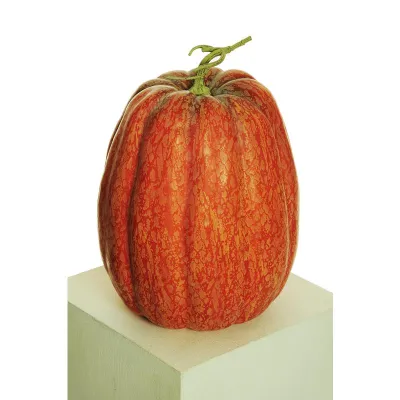 Zucca d.27 h.35 arancio