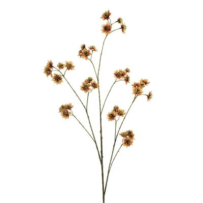 Ramo astrantia cm.120 marrone-crema