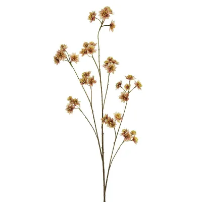 Ramo astrantia cm.120 rosa-crema