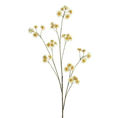 Ramo astrantia cm.120 crema