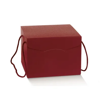 Cartone segreto 24x24 bordeaux