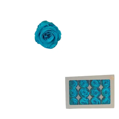 Rosa pres. d.04 mini turchese brillante (pz.12)