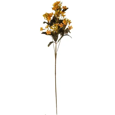 Melo ramo giallo