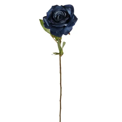 Rosa sienna blu