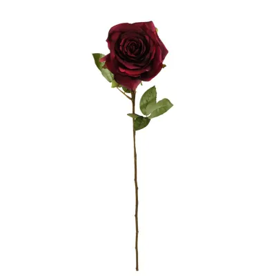 Rosa sienna fucsia