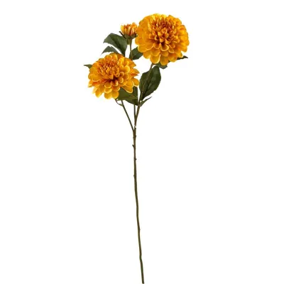 Dahlia ramo giallo