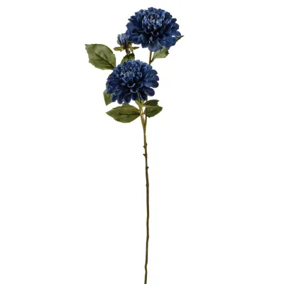 Dahlia ramo blu
