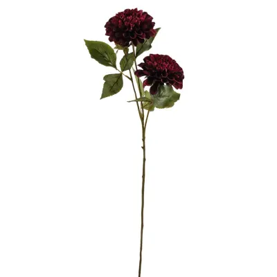 Dahlia ramo fucsia