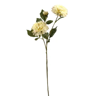 Dahlia ramo avorio