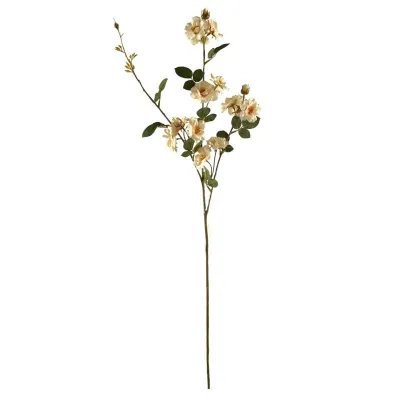 Rosa ramo avorio