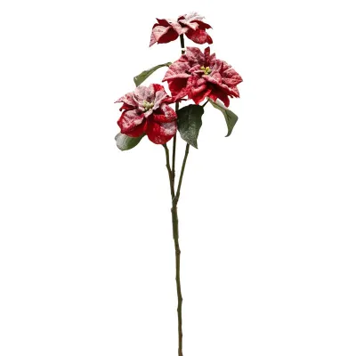 Poinsettia ramoo cm.63 rosso