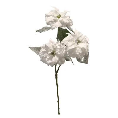 Poinsettia ramoo cm.63 crema