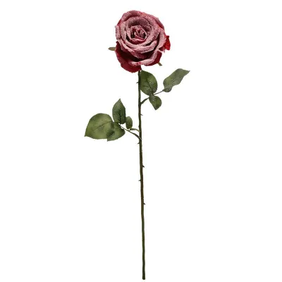 Rosa ghiaccio cm.66 rosso