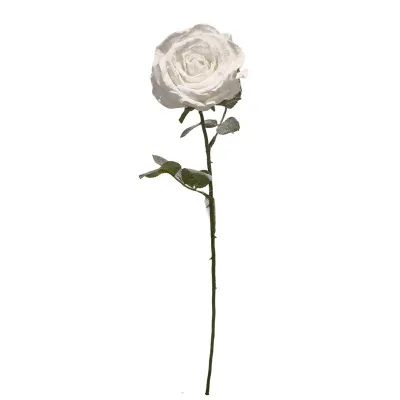 Rosa ghiaccio cm.66 crema