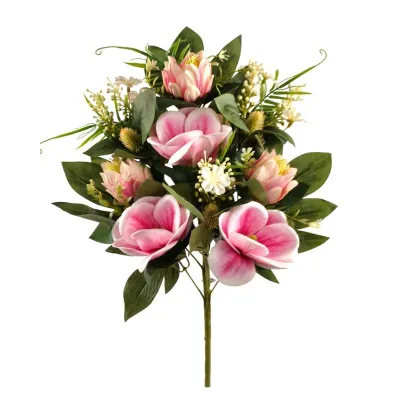 Magnolia frontale rosa