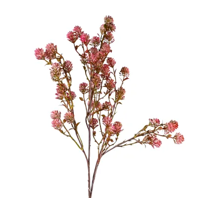 Grass flower ramo cm.55 peach