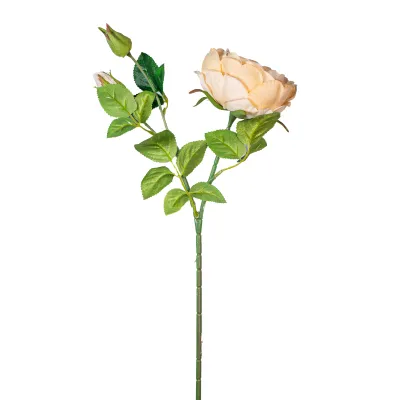 Rosa cabbage velvet cm.55 avorio
