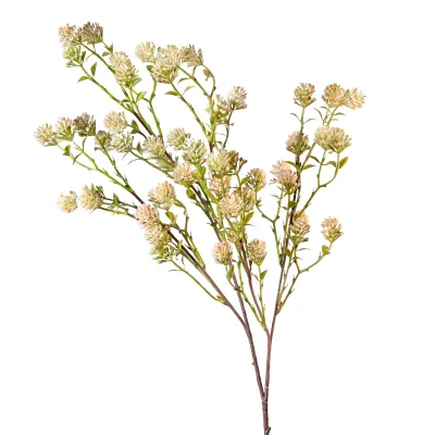 Grass flower ramo cm. 55 cream