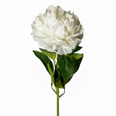 Peonia ramo cm.75 bianco