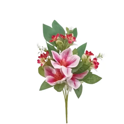 Clematis frontale cm.45 fucsia
