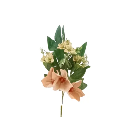 Clematis frontale cm.45 pesca