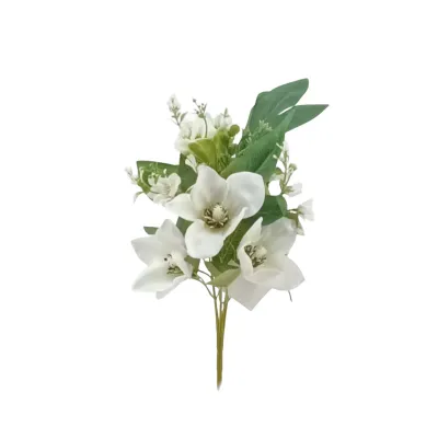 Clematis frontale cm.45 bianco