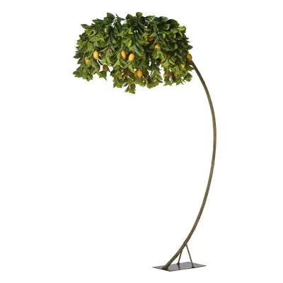 Limone pianta h.280 