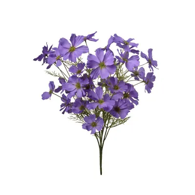 Cosmea mazzo cm.50 viola