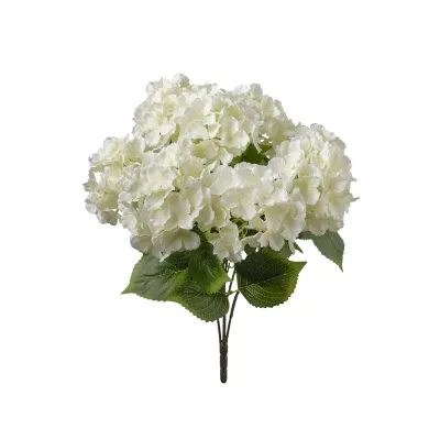 Ortensia mazzo cm.50 bianco