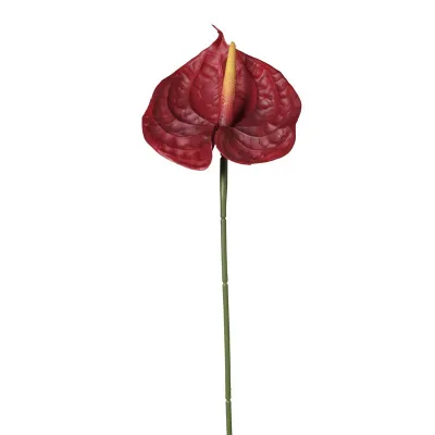 Anthurium ramo cm.70 rosso