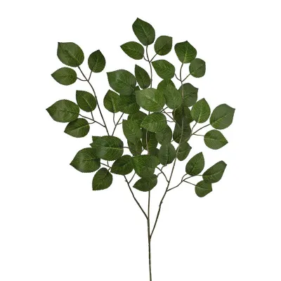 Rosa fogliaggio cm.60 verde