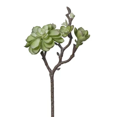 Echeveria mini cm.28 verde