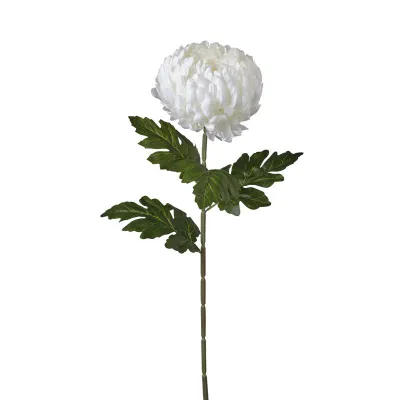 Crisantemo cm.75 bianco
