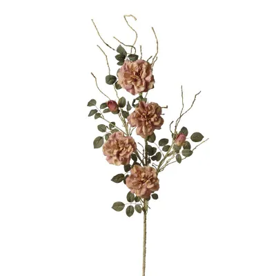 Rosa cabbage ramo cm.135 rosa antico