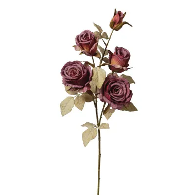 Rose ramo x5 cm.75 bordeaux