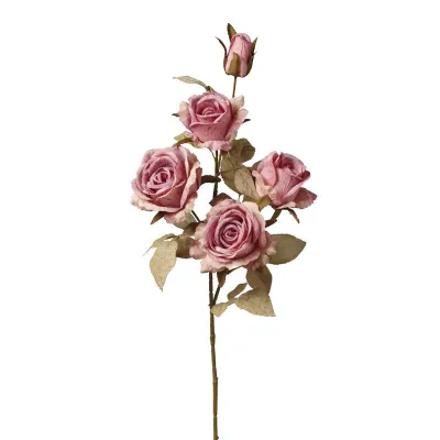 Rose ramo x5 cm.75 rosa antico
