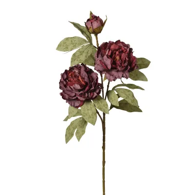 Peonie ramo x3 cm.80 bordeaux