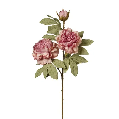 Peonie ramo x3 cm.80 rosa antico