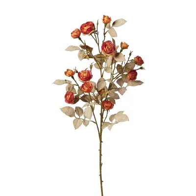 Roselline mini ramo cm.90  arancio
